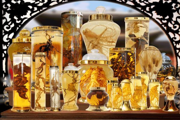 Danh mục các loại rượu ngâm tốt cho sức khỏe phổ biến