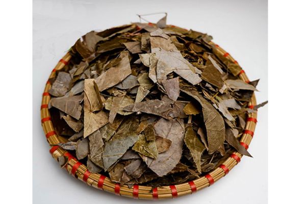Cây dâm dương hoắc: đối tượng phù hợp – lưu ý an toàn, tương tác & bảo quản