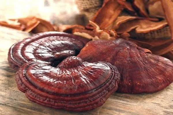 Nấm linh chi ngâm rượu