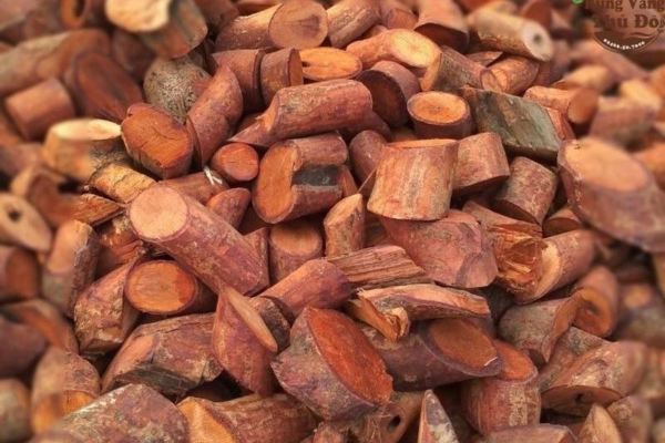 tác dụng cây mú từn