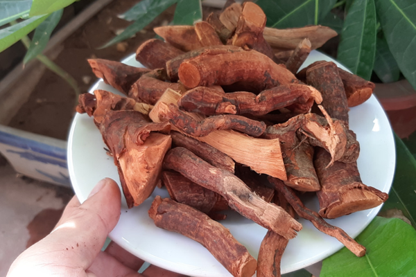 Cây mú từn