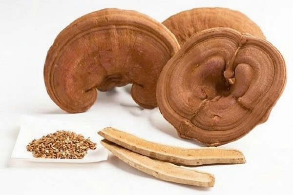 Cao linh chi có tác dụng gì trong hỗ trợ bồi bổ và cân bằng cơ thể