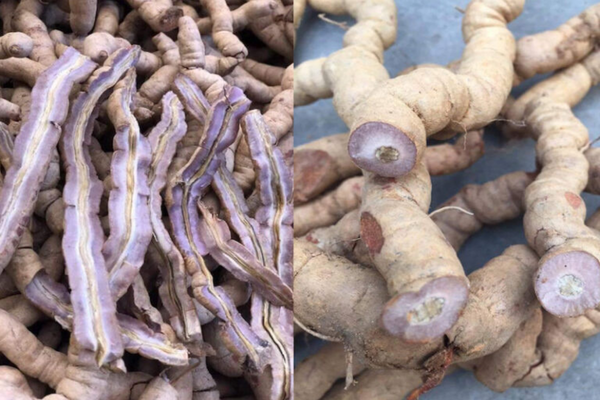 Lựa chọn nguyên liệu là bước quan trọng trước khi ngâm rượu