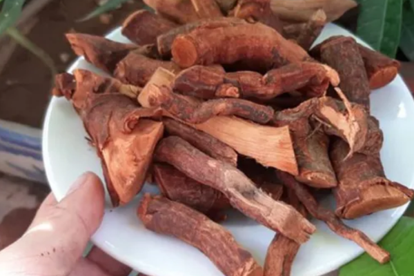 Người dùng nên chọn nguồn dược liệu uy tín để đảm bảo sức khỏe