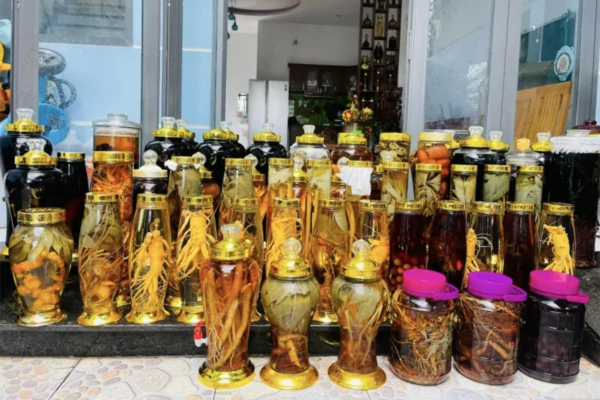 rượu ngâm tốt cho sức khỏe